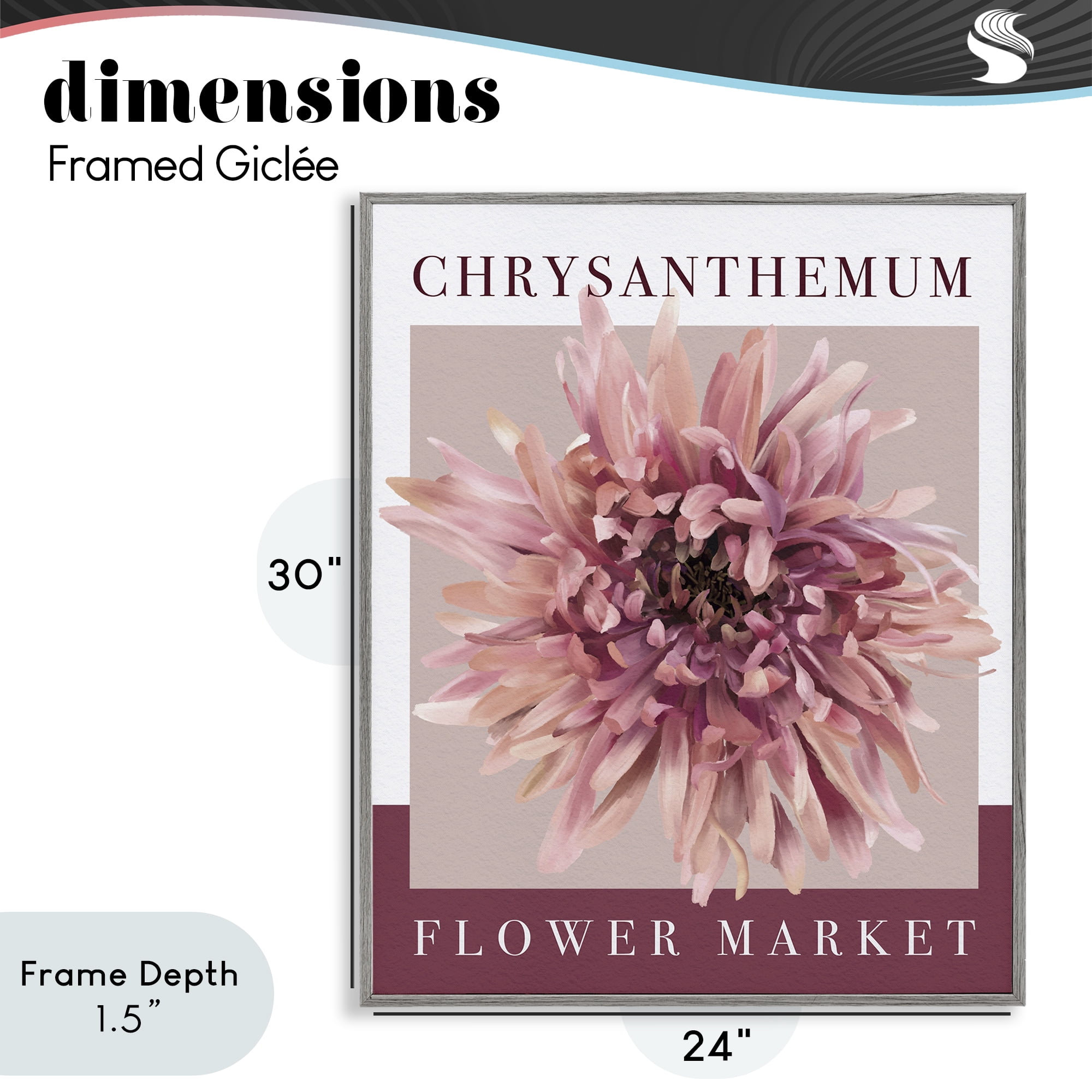 Stupell Industries Chrysanthemum Flower Market Gray Framed Giclee Art, design by Jennifer Stith