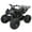 Black, variant on RPS 125cc ATV Jet 9 Sport