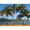 thumbnail image 2 of Hawaiian Hammocks Wall Mural by Wallmonkeys Peel and Stick Graphic (36 in W x 27 in H) WM56550, 2 of 4