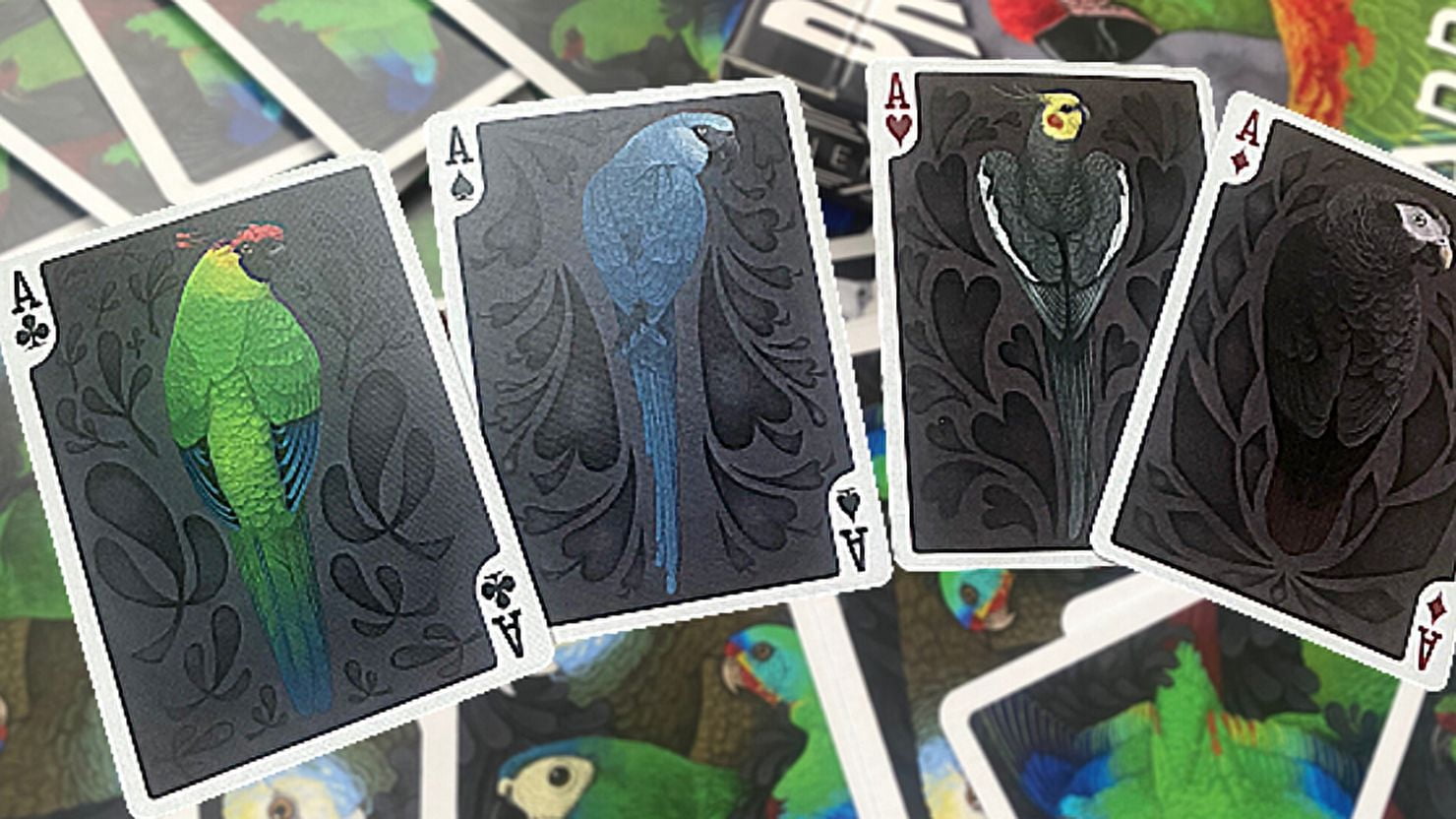 Parrot Prototype Playing Cards by Renee LeCompte