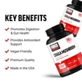 thumbnail image 2 of Suplemento de hongos Chaga Force Factor 120 cápsulas, 2 of 9