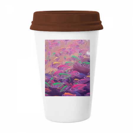 

Ocean Fish Science Nature Picture Mug Coffee Drinking Glass Pottery Cerac Cup Lid