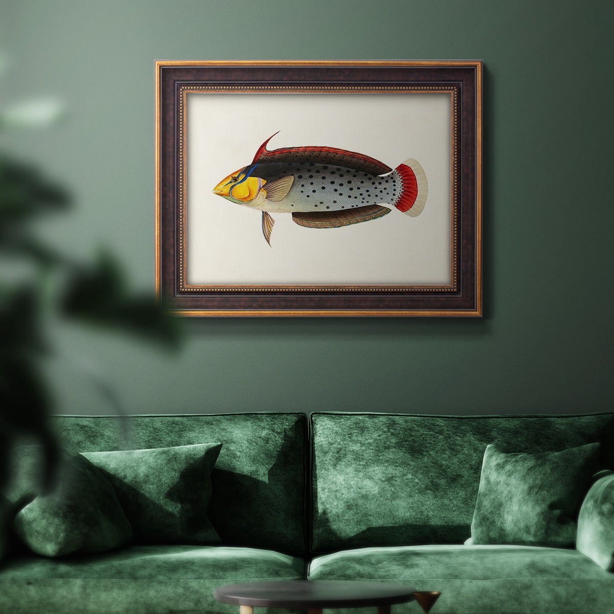 Tropical Fish Collection IV Premium Framed Canvas- Ready to Hang