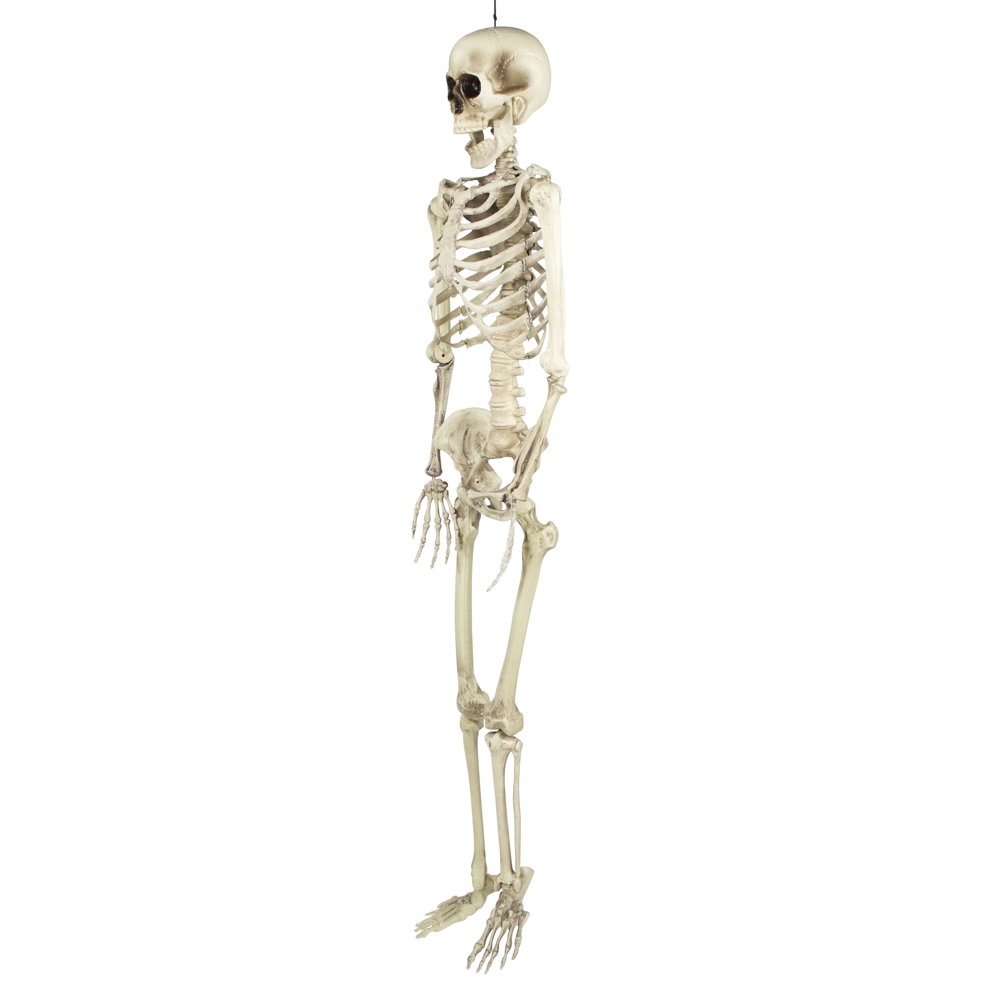 5' Spooky Life Size Skeleton Indoor/Outdoor Halloween Decoration
