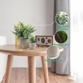 thumbnail image 2 of TOPOST Plantas Artificiales Decorativas Hogar, Macetas Decorativas Interior para Ba&ntilde;o, Sala y Oficina Escritorio, 2 of 7