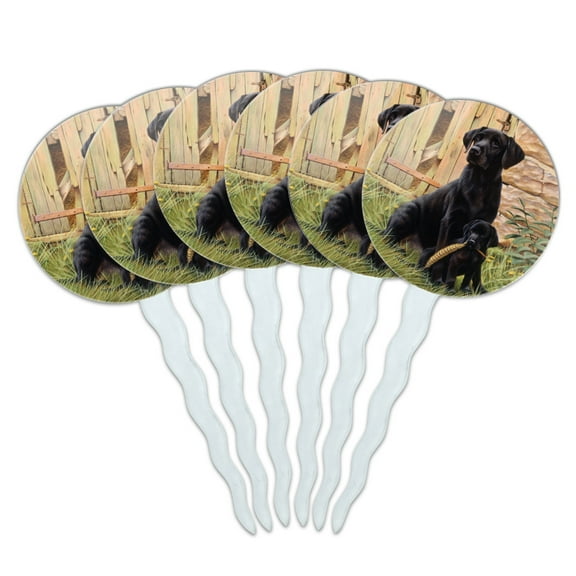 Black Labrador Retriever Dog Puppy Cupcake Picks Toppers Decoration Set of 6