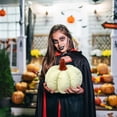 thumbnail image 1 of Cameland Coussin Citrouille Jouet Poupée Citrouille Marionnette Poupée Cadeau d'Halloween, 1 of 6