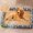 B, variant on RKSTN clot pad pad Dog Cool CoolPad For Dogs Sleeping Mats For Dog Self Cool Pet Blanket Outdoor Indoor Cool Mats