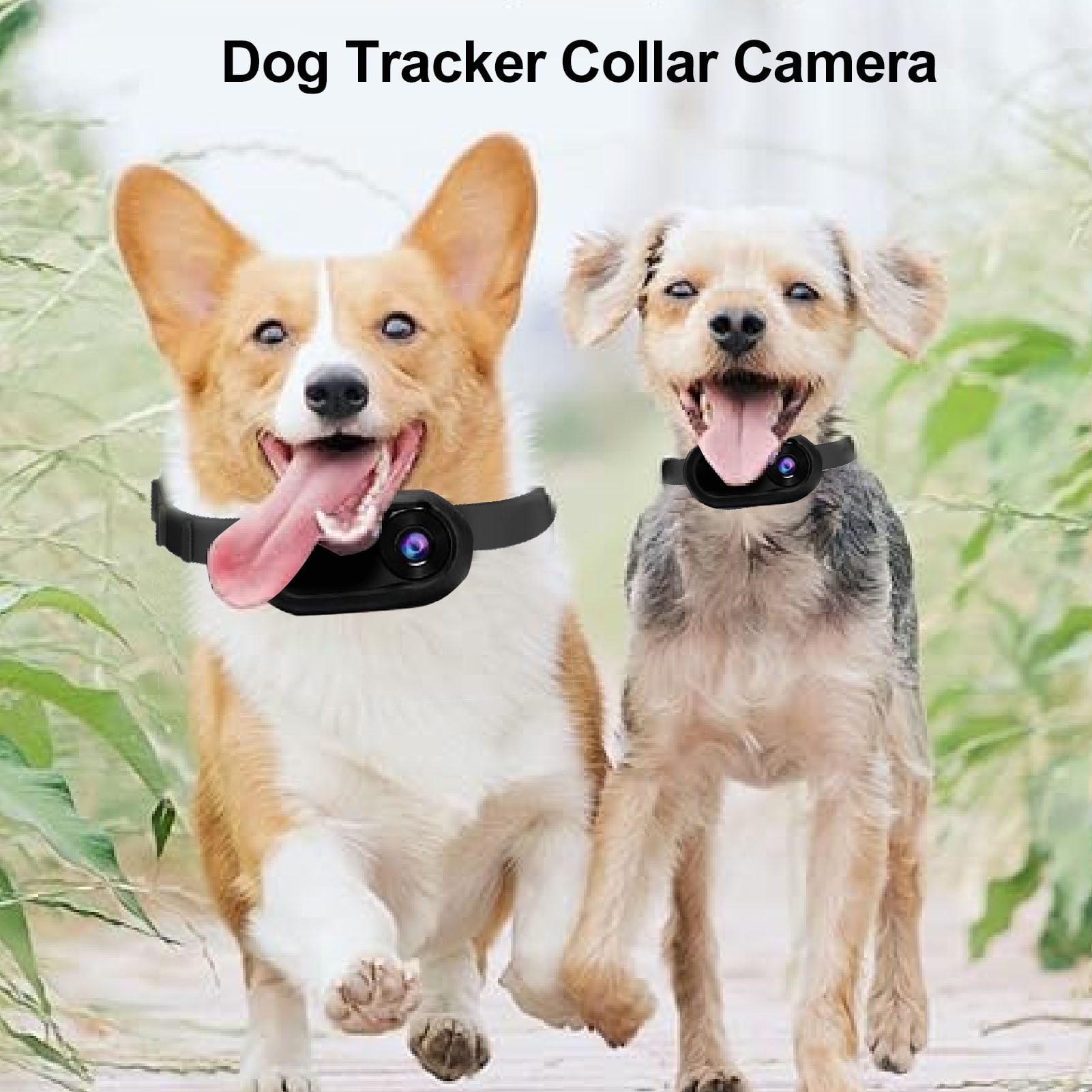 Pet Collar Camera 1080P Video Record Cat Camera Collar 160 Ultra Wide Angle 32GB Small Memory Card with Magnetic Pendant for Cat Dog Indoor Outdoor Walmart
