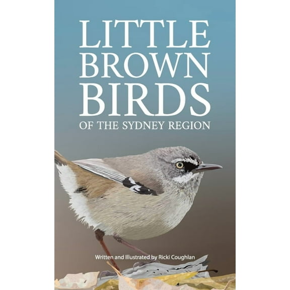Little Brown Birds, (Paperback)