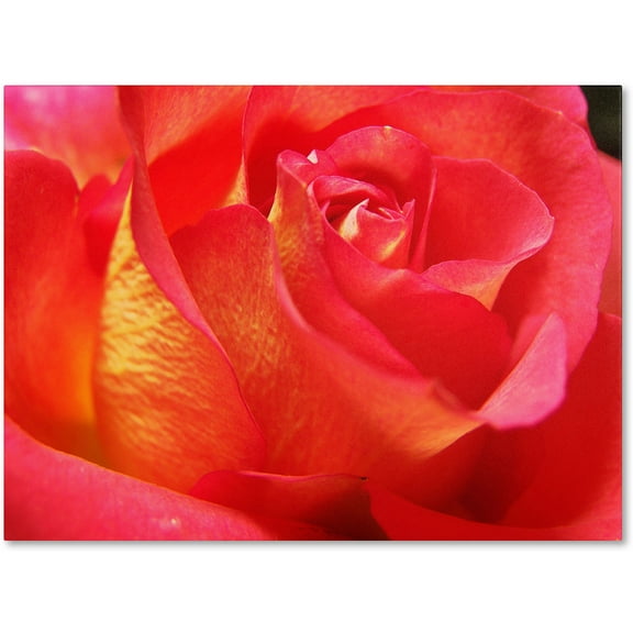 Trademark Fine Art "Empowering Heart" Canvas Art by Monica Fleet