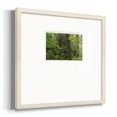 thumbnail image 2 of Calm of the ForestPremium Framed Print, 2 of 5