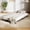 Black Trundle, variant on Twin Metal Roll-Out Trundle Bed Frame with Wheels, Steel Slat Support and Space-Saving Design, Black Trundle