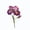 A, variant on Tuscom Artificial Bearded Iris Flower Realistic EVA Foam Stem Fake Plant Oil Painting Style for Home Living Room Wedding Decor