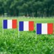 thumbnail image 5 of UEFA EURO France Flag French Small Stick Mini Hand Held Flags Decorations 1 Dozen (12 pack), 5 of 5