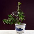 thumbnail image 5 of Self Watering Plant Waterer Glass Plant Flowers Water Feeder, 5 of 5
