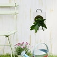 thumbnail image 5 of WEUVEB Clear Acrylic Wall Planter with Easy Mount Backboard, Modern Hanging Indoor Plant Holder for Home and Office Decor, 5 of 8