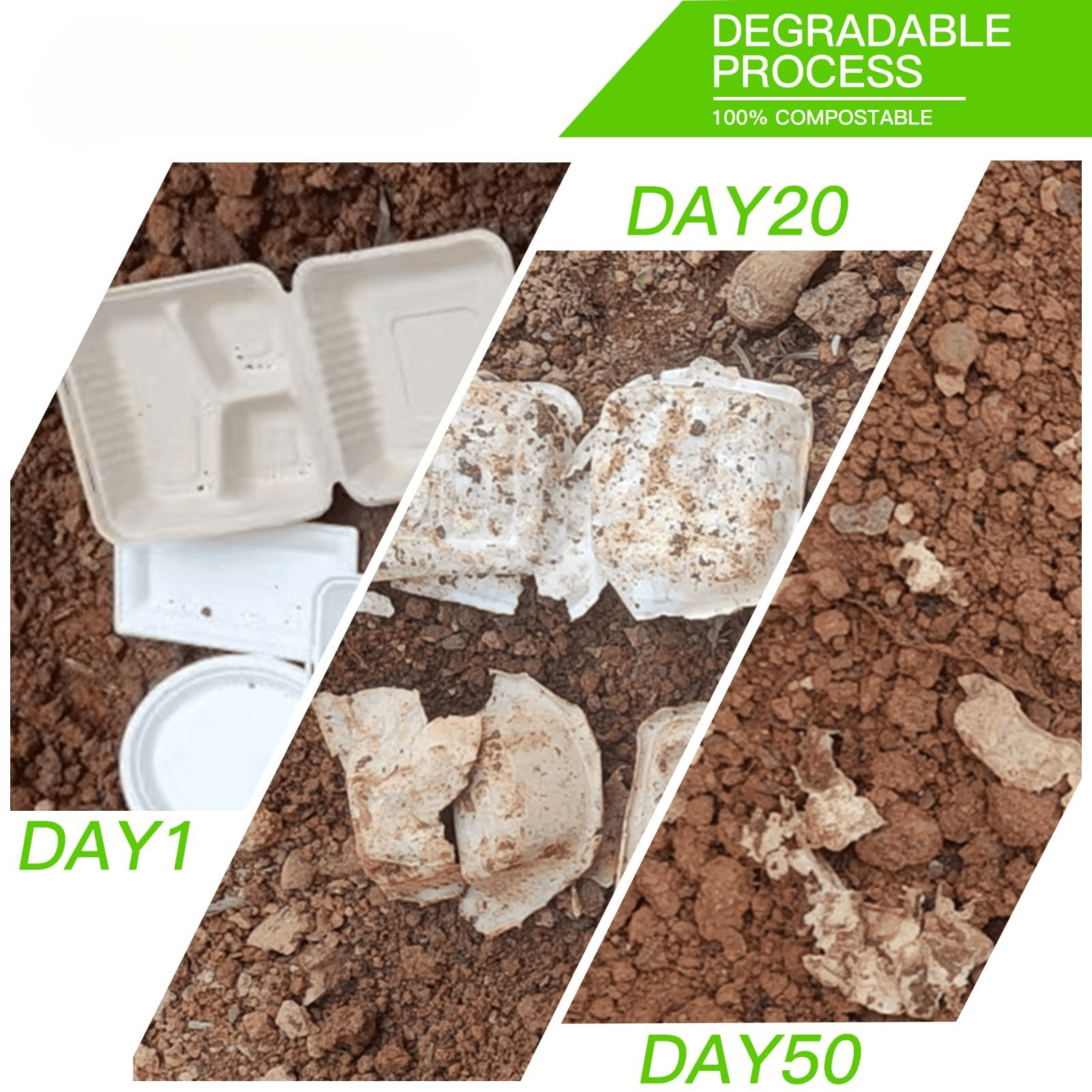 3-Compartment Eco-Friendly Takeout Containers – 8x8 Inch Bagasse Clamshells, 200 Count, Leak-Proof & Compostable