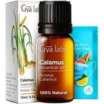 Gya Labs Calamus Essential Oil for Focus, Memory & Stress Relief - 0.34 Fl Oz