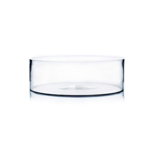 WGV Cylinder Vase, Open Width 12", Height 4", Clear Flat Pan Style Container, Planter Terrarium, Floral Centerpiece for Wedding Party Event, Home Office Decor, 1 Piece