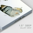 thumbnail image 3 of Antique Blue Butterflies I Premium Gallery Wrapped Canvas - Ready to Hang, 3 of 9