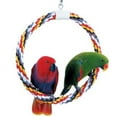 thumbnail image 2 of JW Swing 'n Perch Large Soft Comfy Firm Rope Ring For Bird Enrichment, 2 of 7