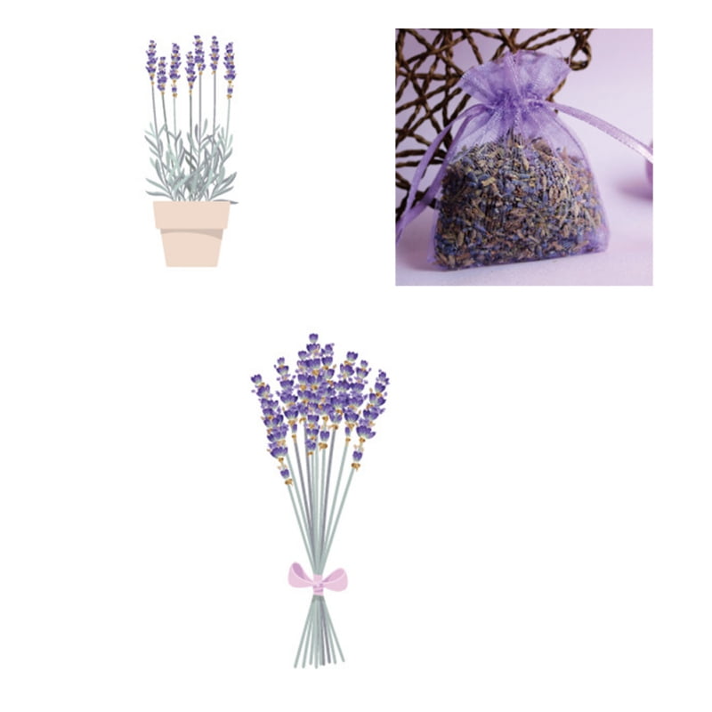 Fragrant Lavender Buds Dried Lavender Sachets Drawers Freshener Home Fragrance Bag Walmart Com Walmart Com