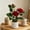 Red-As Shows, variant on Mini Rose Bonsai Artificial Plant, Silk Flower Potted Decoration, Faux Potted Rose, Home and Office Flower Ornament, Realistic Decorative Rose Plant, Single Bonsai Included