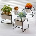 thumbnail image 3 of Cateissary Soporte de planta negro con maceta, maceta de Metal de estilo nórdico suculenta para sala de estar, tipo de suelo multifuncional a la Jardín y Patio Negro/Triangular, 3 of 6