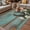 Turquoise Gray Blue White, variant on Daisy Flower Outdoor Rug for Patio/Deck/Porch, Non-Slip Large Area Rug 3 x 5 Ft, Vintage Horseshoes Farmhouse Wooden Grain Teal Indoor Outdoor Rugs Washable Area Rugs, Camping Rug Carpet Runner