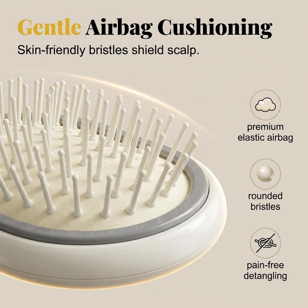 Wet Electric Hairbrush with Water Spray for Women, Rechargeable Red Light Air Cushion Mister Steam Brush for Damp Hair Spa Styling Detangling Cleaning Grooming