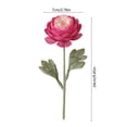 thumbnail image 3 of Artificial Ranunculus Flower Stems 8 Colors Realistic Fake Peony Bouquet For Home Wedding Party Table Centerpiece Vase Decor, 3 of 6