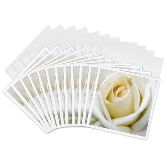 3drose, White Rose Closeup, 12 Greeting Cards with Envelopes