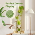 thumbnail image 4 of Corner Plant Stand Indoor Outdoor, Tall Metal Flower Pot Stands for Multiple Plants, 4 Tier Gold Heavy Duty Plant Shelf for Patio Garden Balcony Living Room Bedroom(Patent Design), 4 of 11