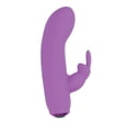thumbnail image 5 of Alice's Bunny Rechargeable Bullet W/rabbit Sleeve - 10 Functions Purple, 5 of 5
