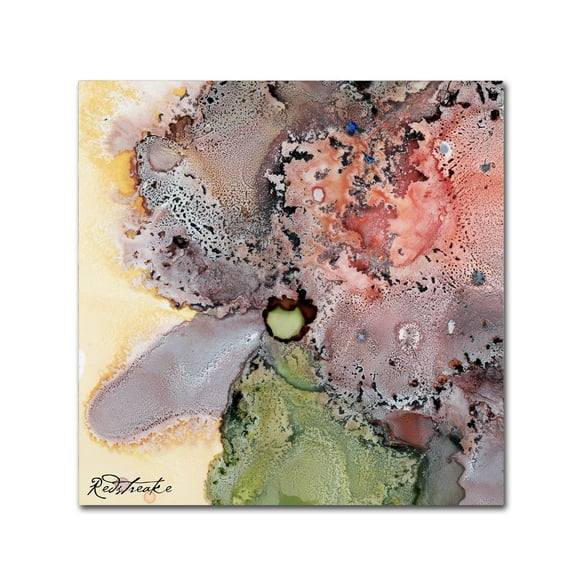 Trademark Fine Art 'Abstract Floral' Canvas Art by Jennifer Redstreake