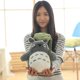 thumbnail image 3 of ZHAOCHENG Peluche de Totoro Kawaii de 30 cm, suave animal de peluche, almohada de Totoro, 3 of 3