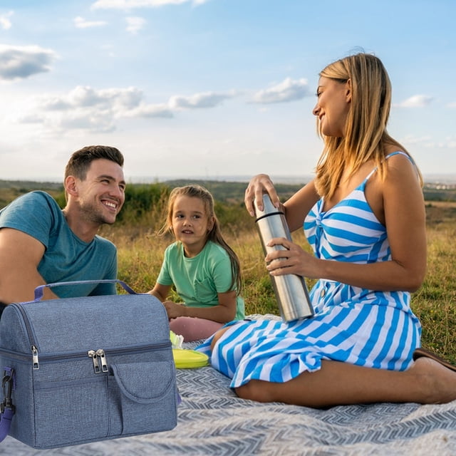 Insulated Lunch Bag | Leakproof Freezable Reusable Lunch Box for Office Work, Picnic, Beach | Spacious Compartments | Waterproof, Easy Clean, Adjustable Shoulder Strap | Gray/Blue/Pink |