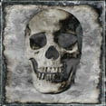 thumbnail image 2 of Wagner, Martin 15x15 White Modern Wood Framed Museum Art Print Titled - Skull III, 2 of 4