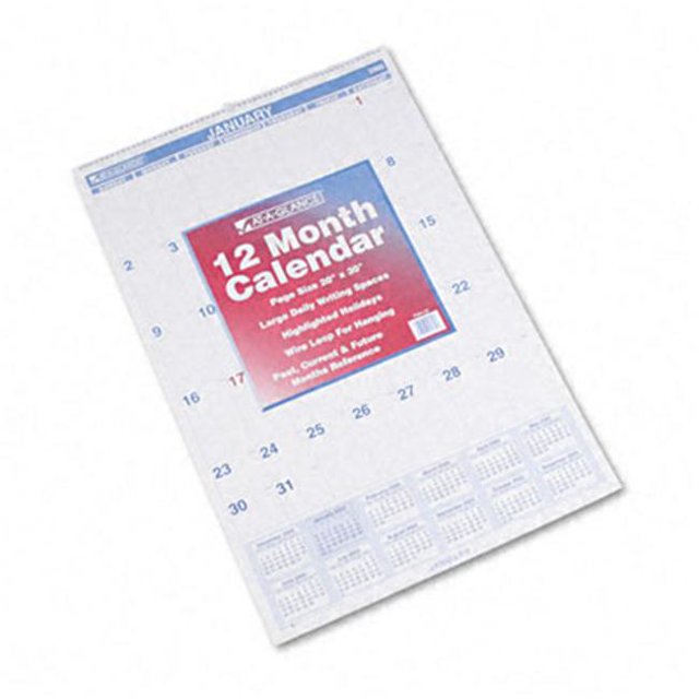 At-A-Glance PM428 Blocs Quotidiens Gérés Calendrier Mural Mensuel Janvier-Décembre 20 x 30
