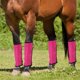 thumbnail image 4 of Accesorios para mascotas al aire libre Botas transpirables para caballos Diseño de malla para actividades Material de poliéster duradero para caballos Ideal para aventuras al aire libre Y, 4 of 6