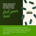 thumbnail image 5 of Swanson Prostate Plus - Natural Supplement for Men Promoting Healthy Urinary Tract Flow & Frequency - Supporting Overall Prostate Health - (180 Veggie Capsules) 2 Pack, 5 of 7