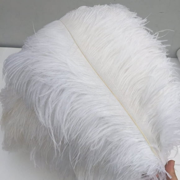 20pcs Ostrich Feathers, 6-7.9 inch 15-27cm Real Natural Ostrich Feathers DIY Craft Feather for Home Party Wedding Decoration White
