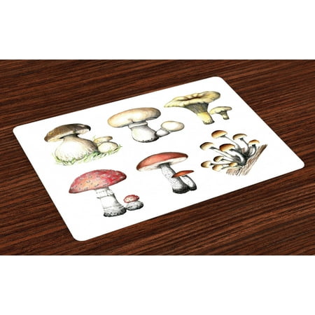 

Mushroom Placemats Set of 4 Hand Drawn Fungus Pattern Amanita Muscaria Boletus Champignon Retro Illustration Washable Fabric Place Mats for Dining Room Kitchen Table Decor Multicolor by Ambesonne