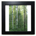 thumbnail image 1 of Changbai Montagne Gris Blanc Sapin Noir Cadre Carré Photo Mur Table, 1 of 3