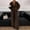 Coffee, variant on Summer Linen Sets for Women Solid Color Long Sleeve Button Down Oversized Pant Sets Linen Pants Set for Women Beach Vacation Clothes Womens Lounge Wear Brown L