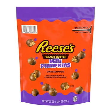 REESE'S Chocolate Peanut Butter Candy Dipped Graham Bears, 24 oz