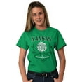 thumbnail image 3 of Kansas Sunflower State Pretty Floral Women's Graphic T Shirt Tees Brisco Brands M, 3 of 6