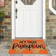 thumbnail image 6 of Yeetfub Welcome Mats for Front Door Outdoor Entry Happy Decorative Seasonal Fall Party Floor Mat For Home Indoor Outdoor 16 X24 Inch, 6 of 7