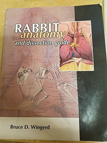 Pre-Owned RABBIT ANATOMY+DISSECTION GUIDE, 9781599840383, 1599840383 ...